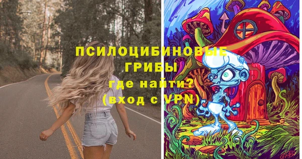 а пвп мука Вяземский