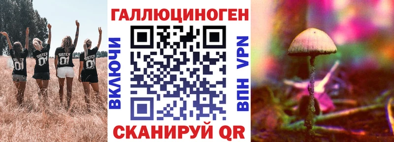 Псилоцибиновые грибы MAGIC MUSHROOMS  Купить закладки  Ленск 